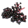 Elderberry