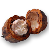 Cocoa Kernels