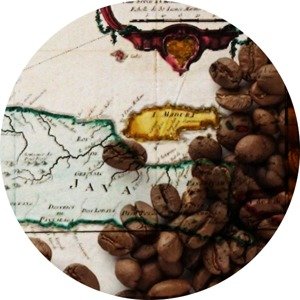 Coffee Arabica `Java Blawan`